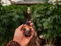 cbd3_ojgfl9