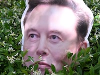An Elon Musk sign hides out in a bush near proceedings in the trial over Elon Musk's lawsuit against OpenAI in Oakland, California, earlier this year.