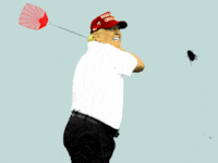 Donald Trump swinging a fly swatter with a fly crawling on the screen
