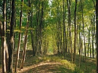 articles/2012/07/05/jeff-brouws-at-apexart-is-the-daily-pic-by-blake-gopnik/Brouws-daily-pic_vsn4ya