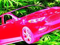 170721-kryt-weed-fords-tease_z57eok