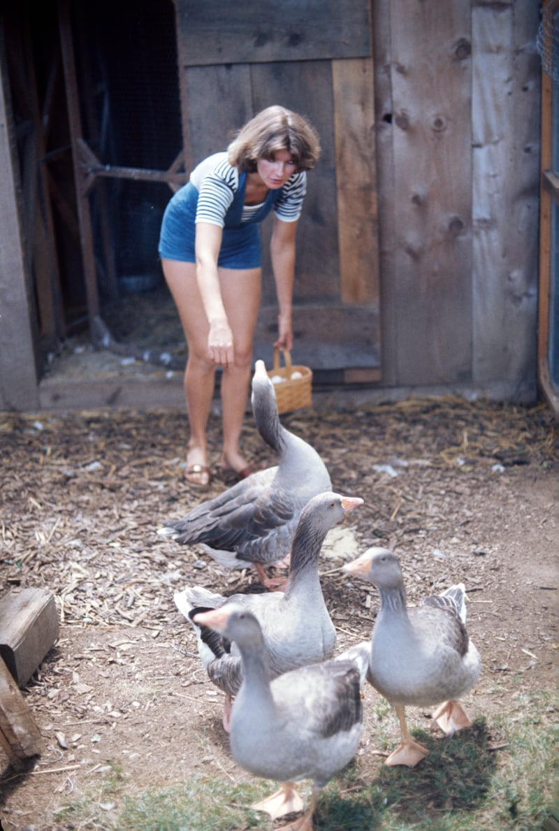 Stewart pictured collecting eggs at her then-home in Westport, Connecticut, in August 1976.