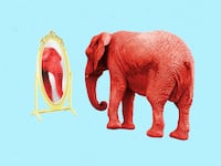 A photo illustration of a red elephant looking into a mirror.