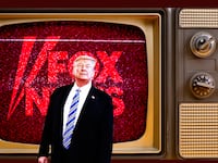 201122-stein-trump-fox-tease_ntmfvl