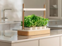 The Auk Mini 2 sits on the counter of a pristine, blindingly white kitchen. Each of its four pods overflows with leafy greens.