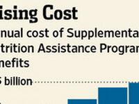 articles/2013/03/28/are-food-stamps-becoming-a-de-facto-minimum-income/are-food-stamps-becoming-a-de-facto-minimum-income-image_dx2gf7
