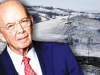 articles/2017/03/03/buy-american-rule-for-keystone-pipeline-dropped-after-ex-foreign-steel-exec-became-commerce-secretary/170303-markay-wilbur-ross-dap-tease_dp3lrm