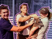 221109-bradley-down-to-earth-s2-review-hero_pkyjot