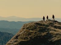 A still from Sasquatch Sunset.