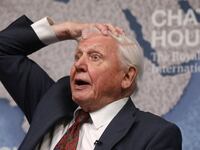 David Attenborough reacts before accepting the annual Chatham House award in London, Britain November 20, 2019.