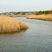 A view of the Hackensack River and the wetlands known as the Meadowlands in Secaucus New Jersey.