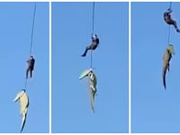 South African Police Service - croc airlift