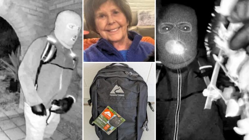 Images from FBI missing poster for Nancy Guthrie