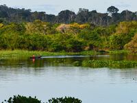 A young boy on a fishing canoe in the Guaporé-Itenez river in Rondonia, Brazil.