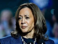 The Democratic blame game has begun after Kamala Harris’ defeat to Donald Trump in the 2024 presidential election.