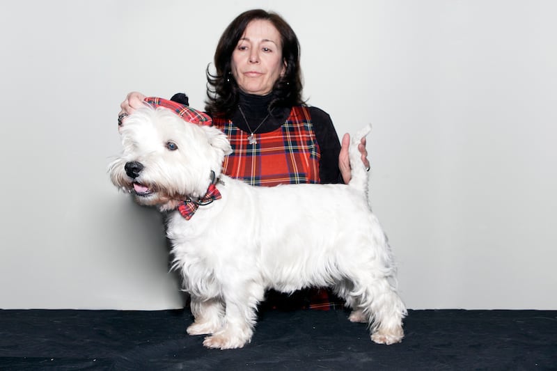 galleries/2015/02/16/best-in-show-meet-the-breeds-and-breeders-of-westminster-photos/150214-westminster-meet-the-breeds-05_afz8xu