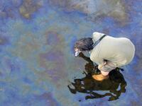 articles/2013/07/16/inside-the-brutal-clean-up-efforts-in-lac-megantic/130715-lac-megantic-clean-up-pelisek-tease_k1c4fo