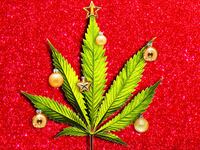 191108-alaina-holiday-weed-parties-tease_ll61ly