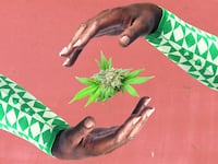 220814-black-owned-cannabis-hero_sjsgyc