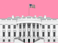 170615-swachlan-white-house-idk-hero_oajnxc