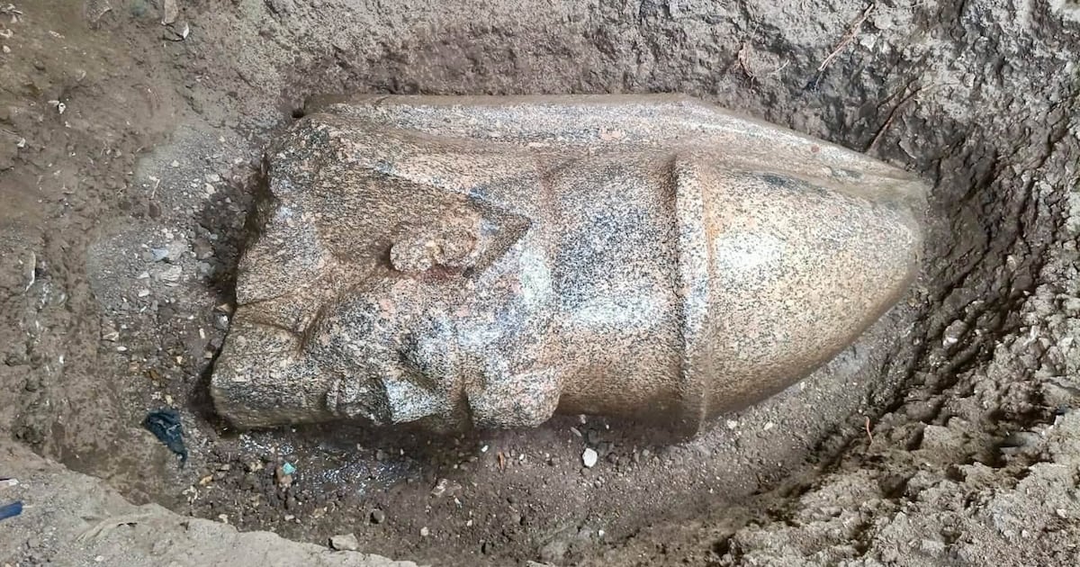 Hausbesitzer macht unbezahlbare 3.000 Jahre alte Entdeckung im Garten