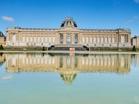 181207-cendrowics-belgian-museum-congo-tease_xzou8v