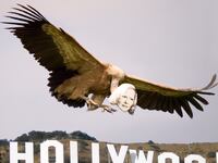 articles/2013/06/04/deadline-hollywood-editor-in-chief-nikki-finke-s-8-greatest-freakouts/130604-nikki_dvx7wz