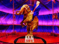 171122-reid-freak-show-lede-3_jmd4bu