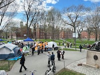 Harvard Gaza protest