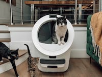 Whisket Litter Robot 5 Pro Review