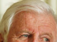 articles/2009/09/07/breaking-the-kennedy-bond/siskind-ted-kennedy_47648_pttcvl