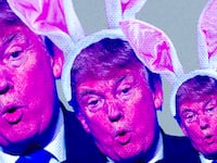 Donald Trump bunny illustration