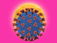 200424-clift-Coronavirus-god-plan-hero_asgpy4