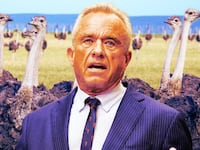 A photo illustration of RFK Jr and a flock of ostriches.