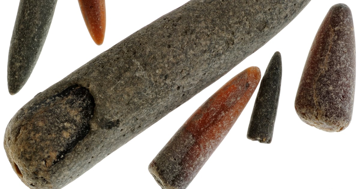 Photo: The Daily Beast Fossil guards of belemnites / Belemnitida from Lyme Regis, Jurassic Coast, Dorset, southern England, UK. (Photo by