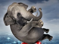 articles/2016/07/19/after-trump-loses-we-can-build-a-sane-republican-party/160719-mcintosh-gop-recovery-tease_rl8wjo