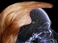 articles/2016/08/06/donald-trump-in-your-heart-you-know-he-s-nuts/160805-irving-donald-trump-tease_htyfsc