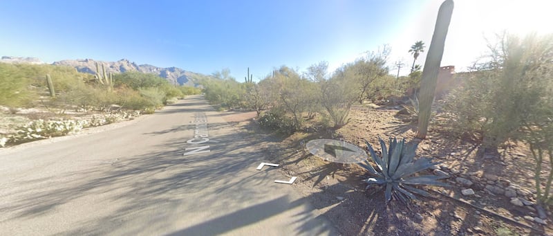 The Google Street View outside Nancy Guthrie’s home, which is on the right, partially obstructed by shrubs and cacti.