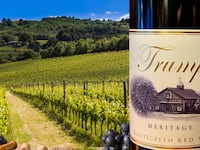 articles/2016/03/10/trump-wine-is-built-on-acres-of-lies/160309-rothbaum-trump-wine-tease_ivlssx