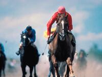 articles/2014/09/04/how-kentucky-will-save-horse-racing-from-itself/140903-miller-horse-racing-tease_m5vekl