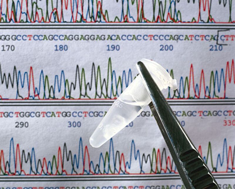 galleries/2009/11/24/our-list-most-startling-medical-discoveries-of-the-last-10-years/last-decade-med-innovations---genome_zbozrc