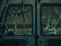A still including spiders from the film Infested on Shudder