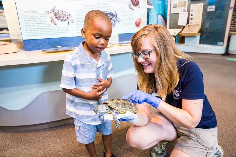 A child and Georgia Sea Turtle Center worker look at a sea turtle at the Georgia Sea Turtle Center on Jekyll Island.