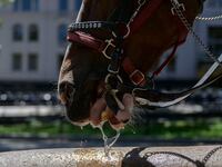 GettyImages-1242292000_ec5zuc