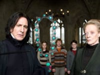 articles/2009/10/28/harry-potter-fans-commit-to-issues-from-gay-rights-to-genocide/rosenberg-potter_59098_ffho8e