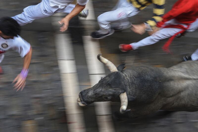 galleries/2016/07/14/running-of-the-bulls-photos/160714-running-bull2_jt2b7p