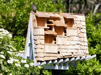 220615-Holmes-birdhouses-tease_i98vyc