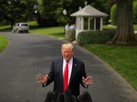 trumptree_ub02mz