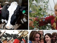 articles/2011/04/27/useless-college-majors-from-journalism-to-psychology-to-theater/useless-degrees_176091_ebbmta