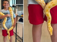 A student holds the python class pet